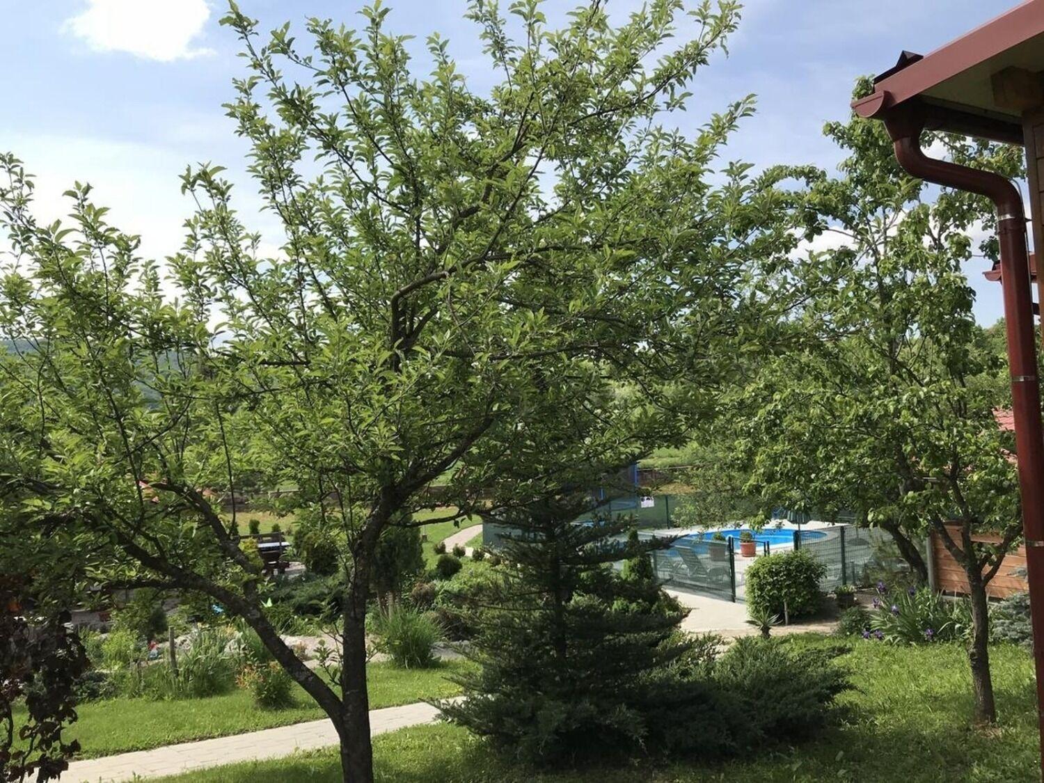 Apartments San - With Pool; 라코비카 외부 사진